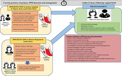 Detection and management of postpartum haemorrhage: Qualitative evidence on healthcare providers' knowledge and practices in Kenya, Nigeria, and South Africa